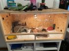 Bartagame mit Holz Terra und Zubehör