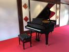 Saal mit Steinway-Flügel Rotherbaum